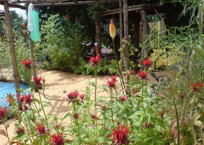Cedar School_0006_DSC01291