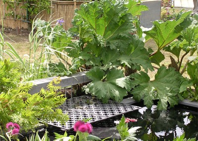 Contemporary-Garden-10