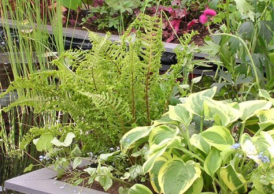 Contemporary-Garden-13