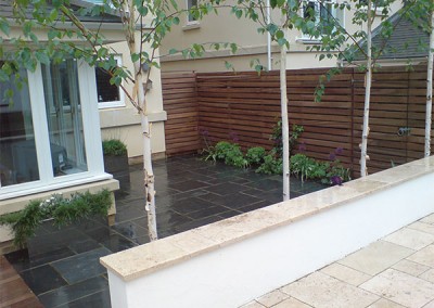 Contemporary-Garden-2