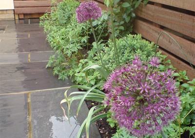 Contemporary-Garden-3