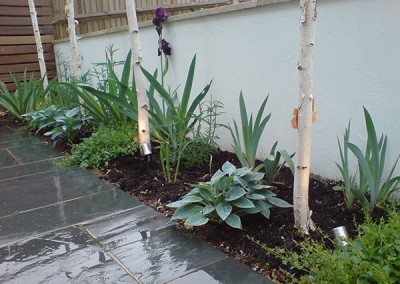 Contemporary-Garden-4