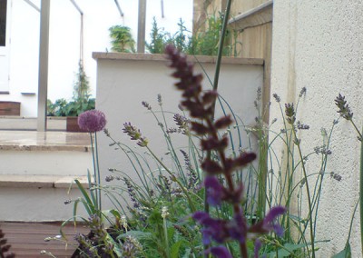 Contemporary-Garden-6