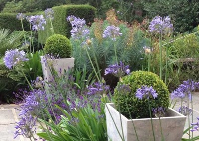 Contemporay_new__0004