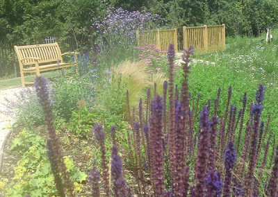 Sensory-gardens-17